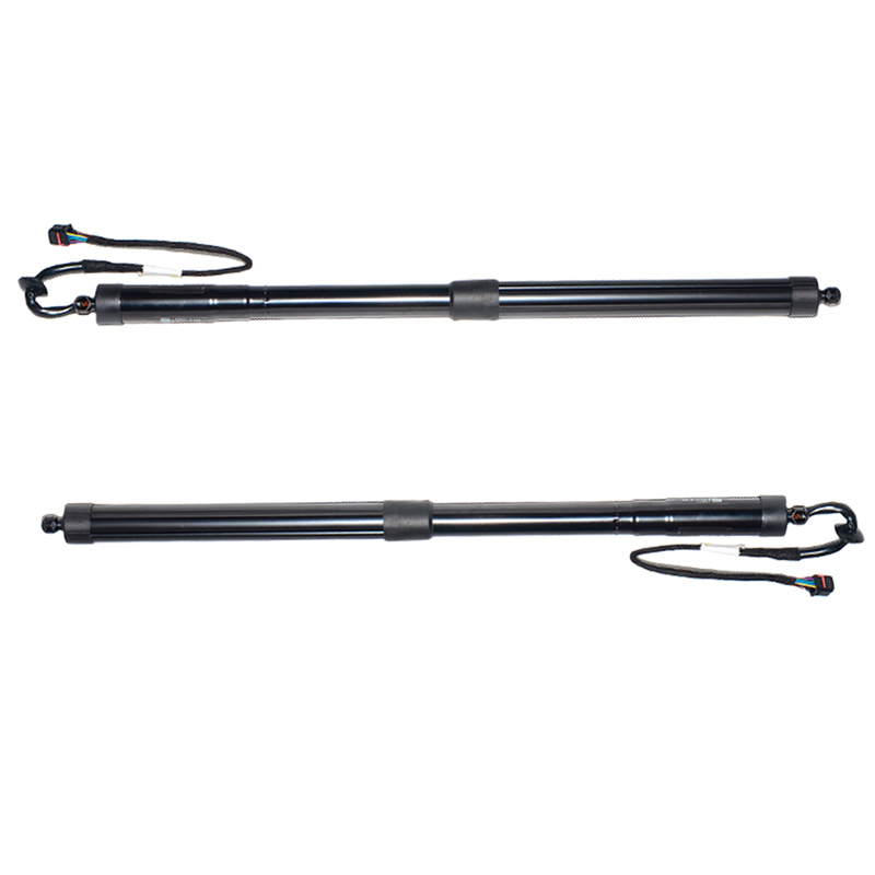 Tailgate Power Lift Supports Struts