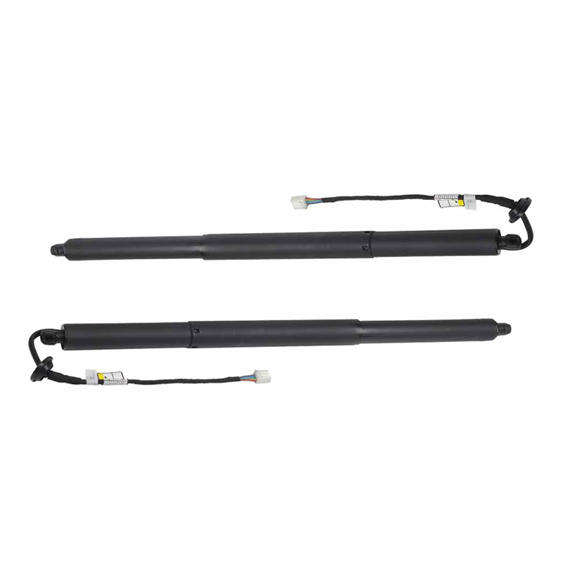 Model X Electric Tailgate Lift Supports